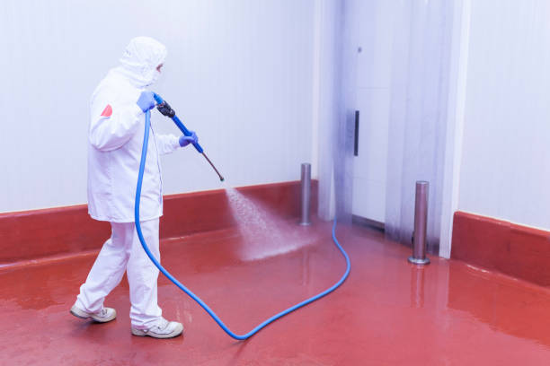 Trusted Croswell, MI  Pressure Washing Services Experts