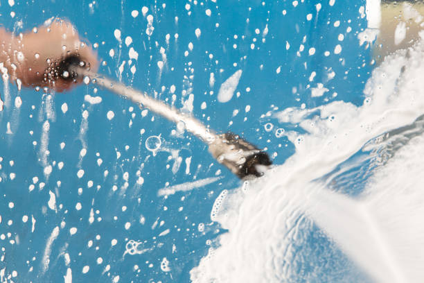 Best Gutter Cleaning  in Croswell, MI
