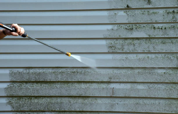 Best Building Exterior Washing  in Croswell, MI