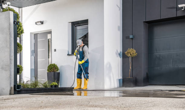 Pre-Holiday Cleaning in Croswell, MI
